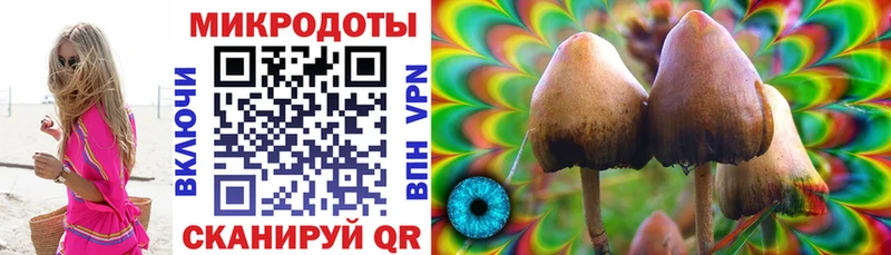 Купить где  Топки  Псилоцибиновые грибы мицелий 